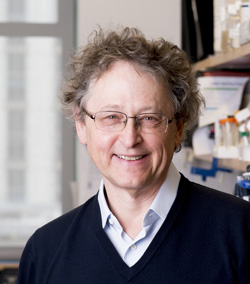Dr. Michel Nussenzweig