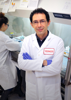 Dr. Mirko Paiardini