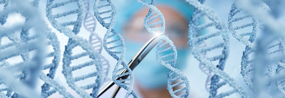 amfAR Awards New Gene Therapy Grants